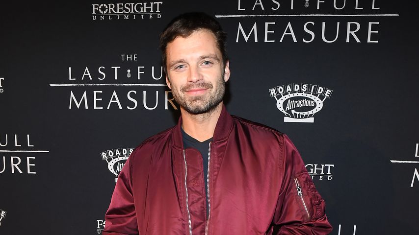 Sebastian Stan, Schauspieler