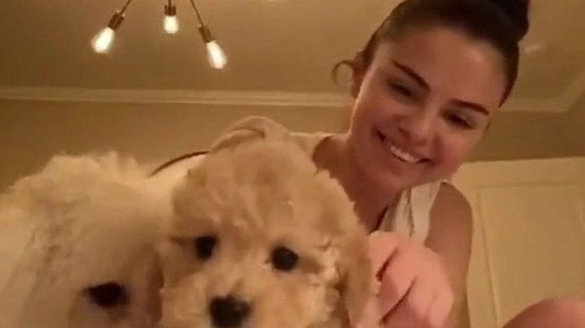 Selena Gomez mit ihren Hunden Winnie und Daisy im März 2020