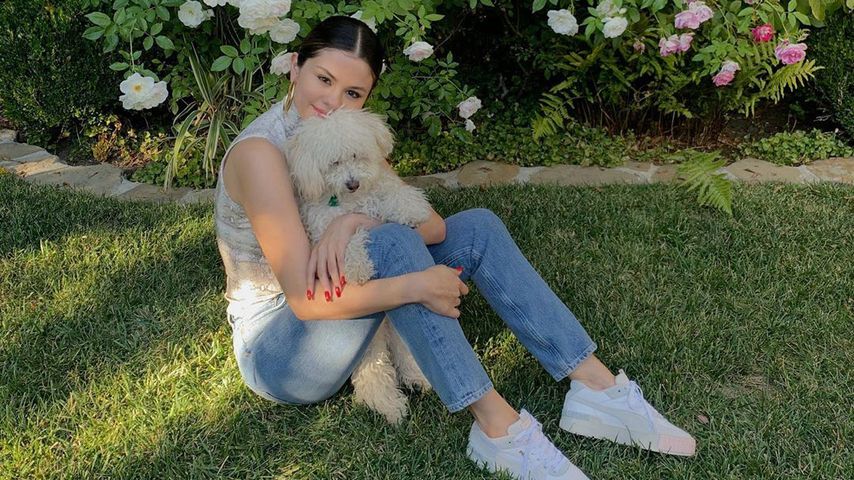 Selena Gomez mit ihrem Hund Winnie im November 2019