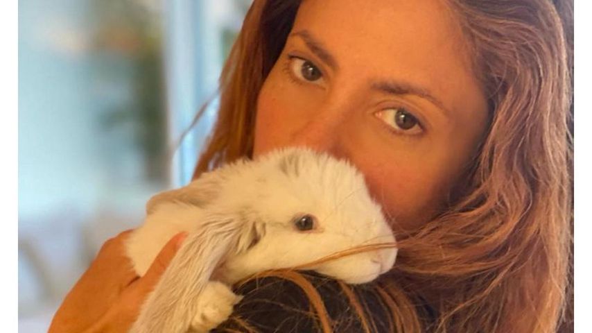 "Niedliches Fellknäuel": Shakira ist jetzt Kaninchen-Mami