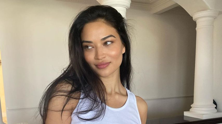 Shanina Shaik, Model