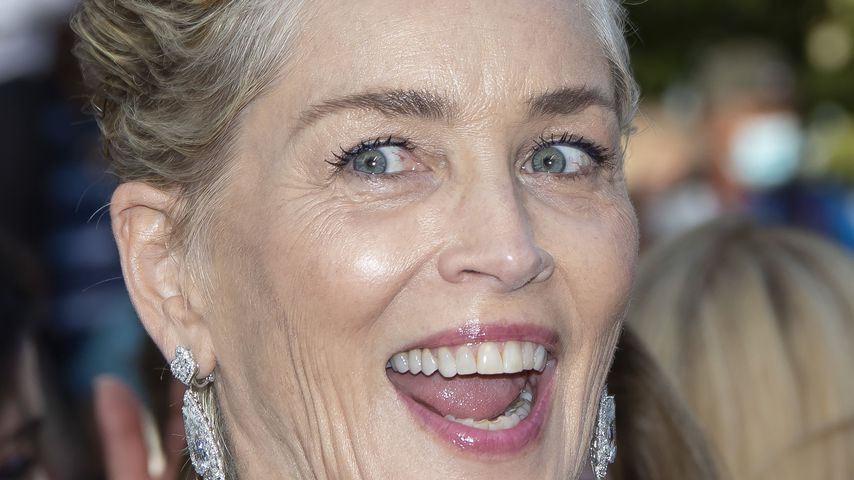 Sharon Stone, Schauspielerin