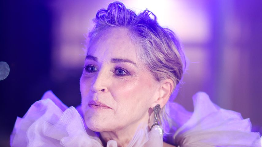 Sharon Stone, Schauspielerin