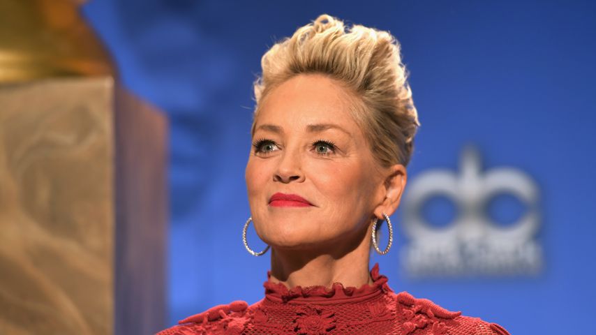 Sharon Stone im Dezember 2017