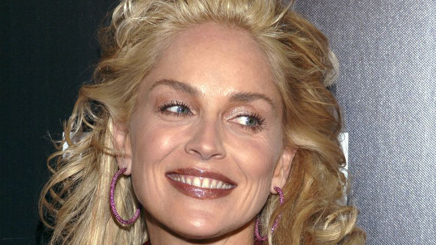 Sharon Stone, Schauspielerin