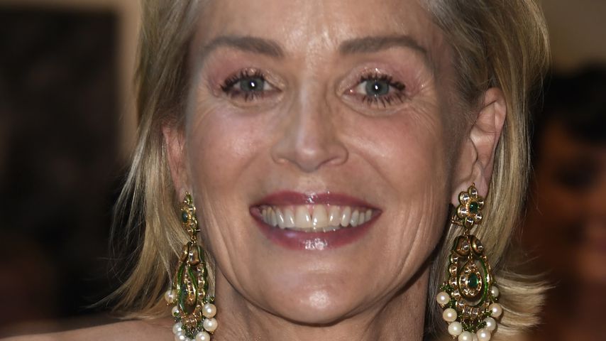 Sharon Stone in Los Angeles
