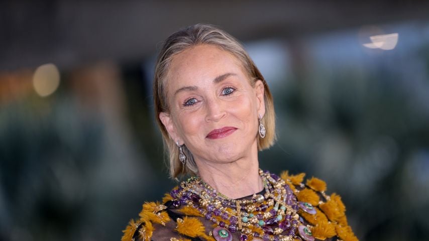 Sharon Stone bei der LACMA-Eröffnungsgala der David Geffen Galleries in Los Angeles am 16. April 2026