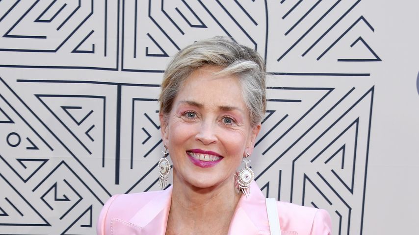 Sharon Stone, Schauspielerin