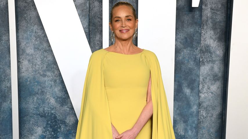 Sharon Stone, Schauspielerin