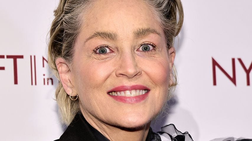 Internetpornografie: Sharon Stone sorgt sich um ihre Söhne