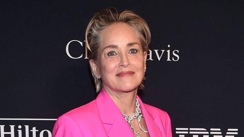 Sharon Stone, Hollywoodstar