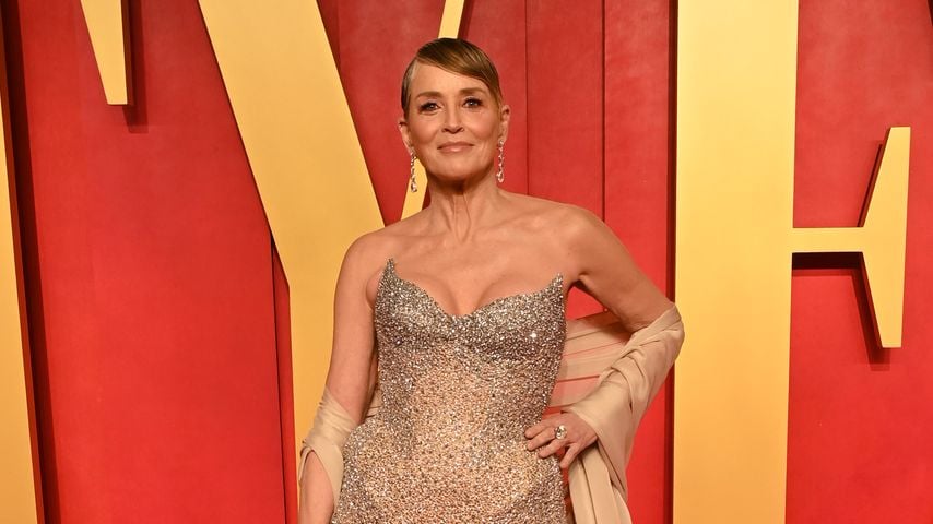 Sharon Stone, Hollywoodstar