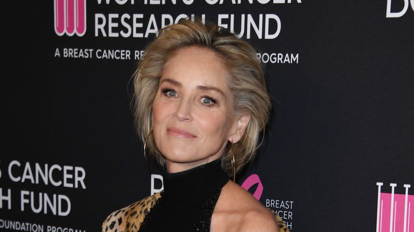 Nach Tod ihres Babyneffen: Sharon Stone meldet sich zurück