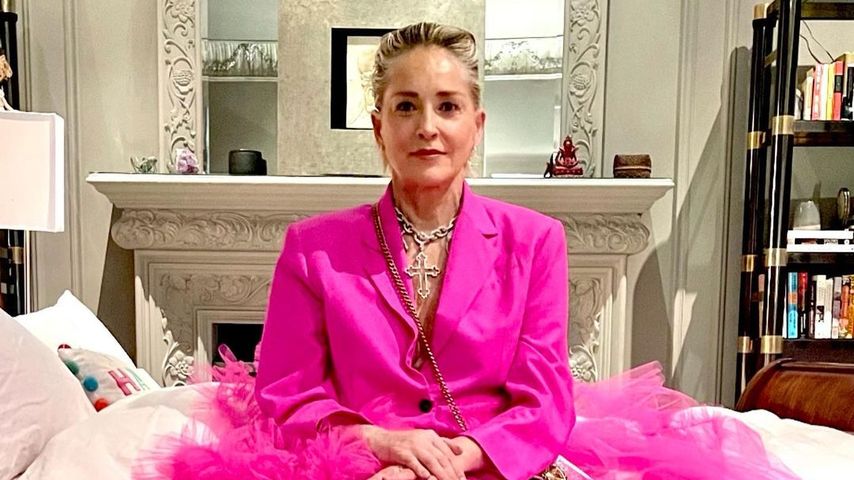 Sharon Stone, Schauspielerin