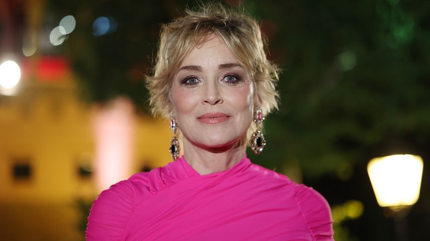 Sharon Stone, Schauspielerin
