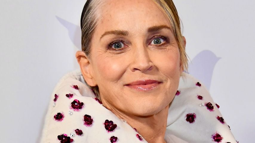 Sharon Stone, Hollywood-Schauspielerin