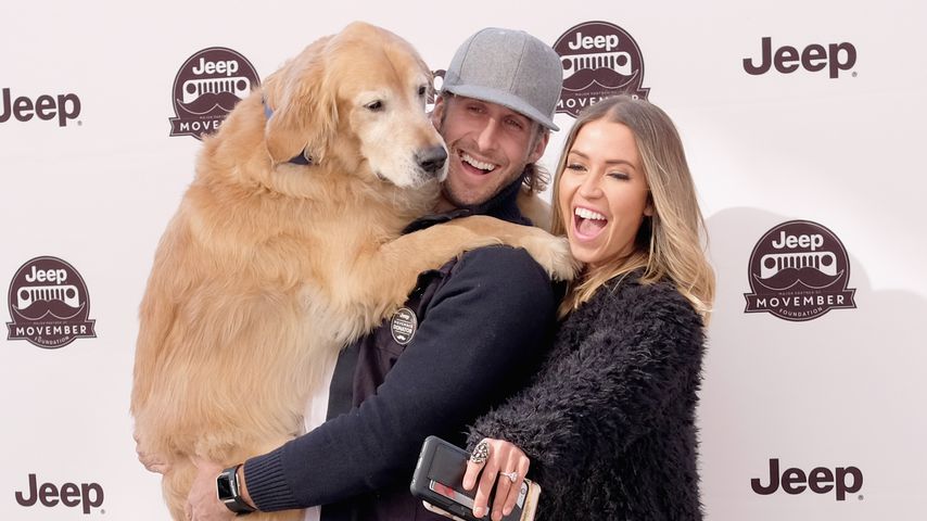 Nach Beauty-OP: Kaitlyn Bristowes Hund riss ihre Wunde auf