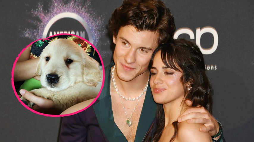 So süß ist Shawn Mendes und Camila Cabellos neuer Welpe!