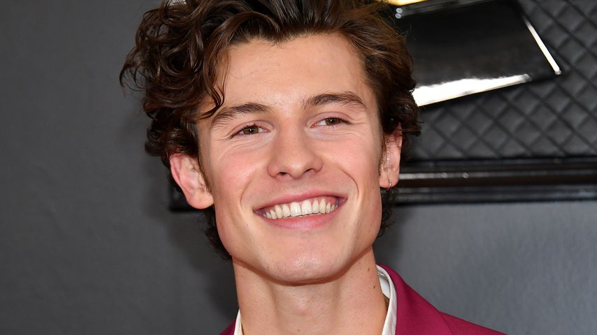 Shawn Mendes, Januar 2020
