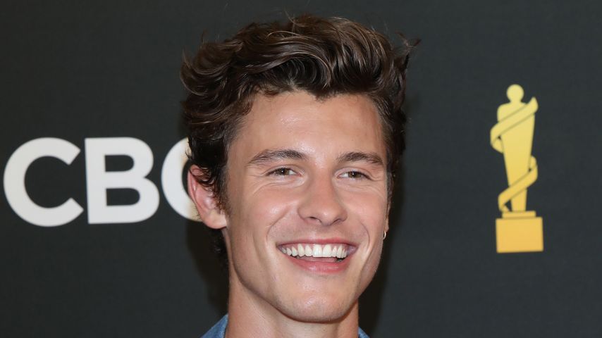 Shawn Mendes, Sänger