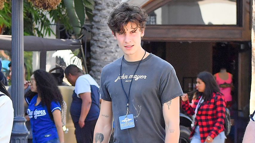 Shawn Mendes, Sänger