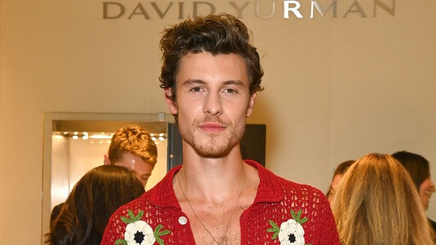"Völlige Panik": Shawn Mendes traute sich nicht ins Studio