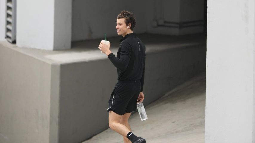 Shawn Mendes in Los Angeles im Januar 2020
