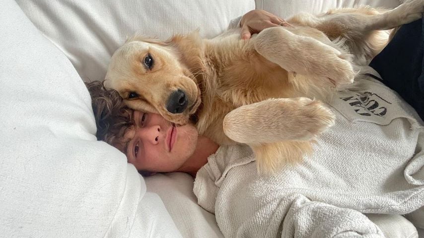 Camila-Trennung: Shawn Mendes vermisst vor allem den Hund