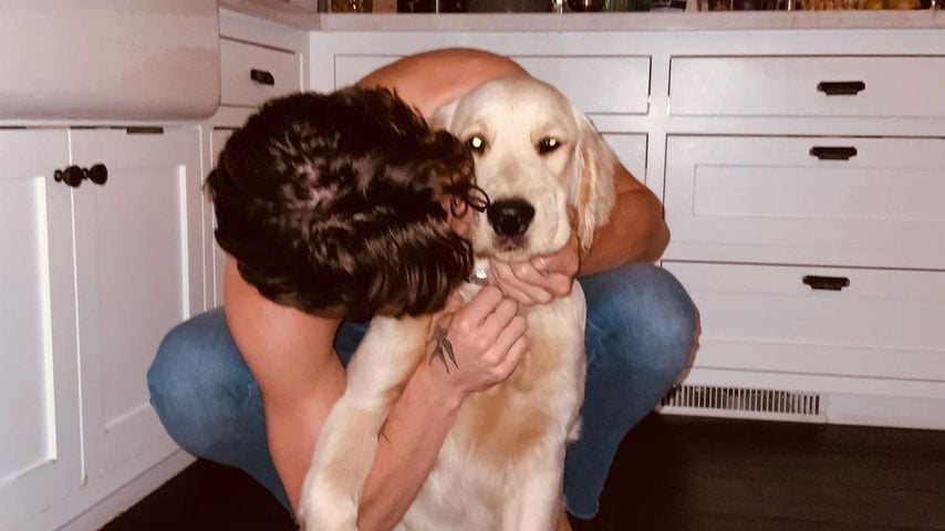 Shawn Mendes mit seinem Hund Tarzan