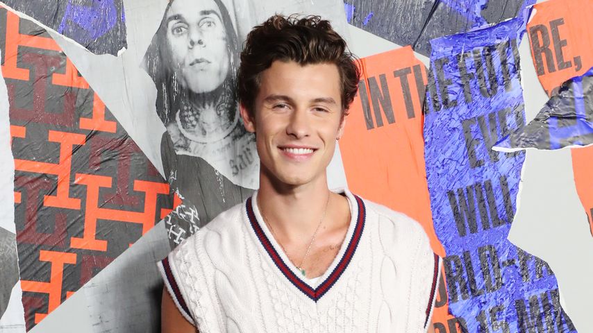 Shawn Mendes, Sänger
