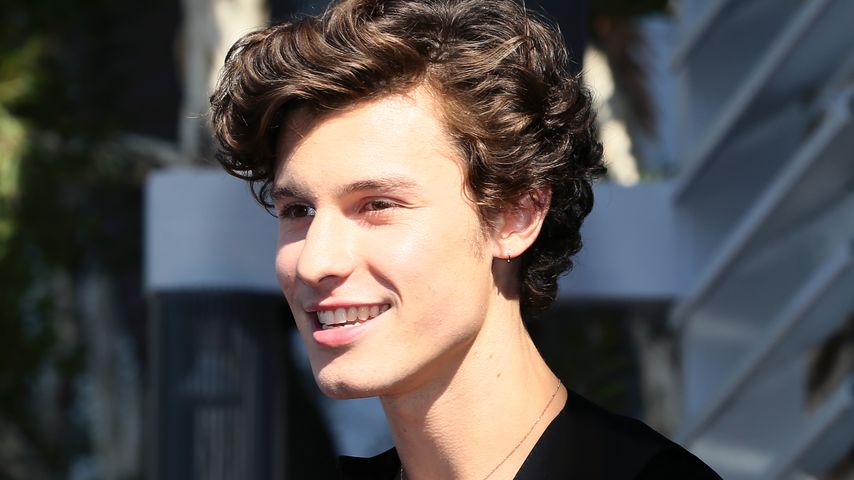 Shawn Mendes, Sänger