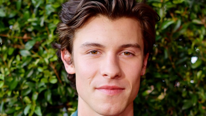 Shawn Mendes, Sänger