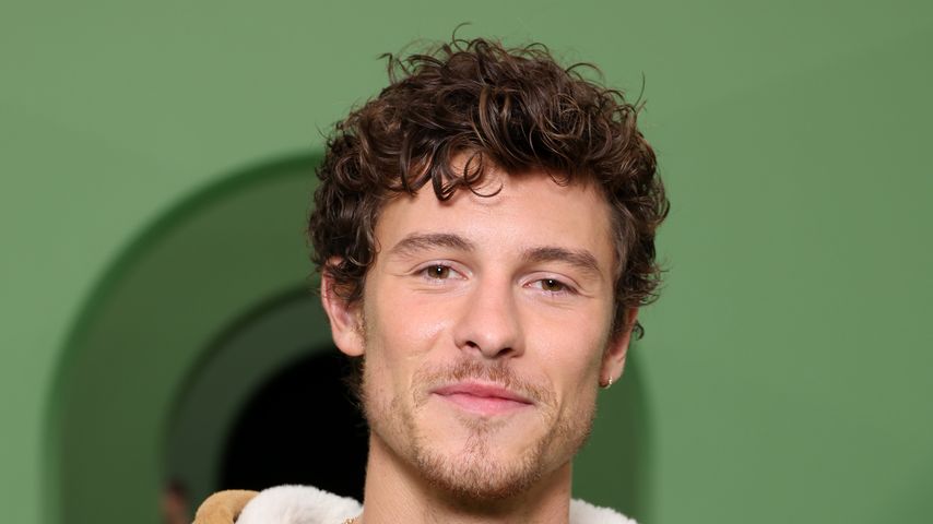 Shawn Mendes, 2024