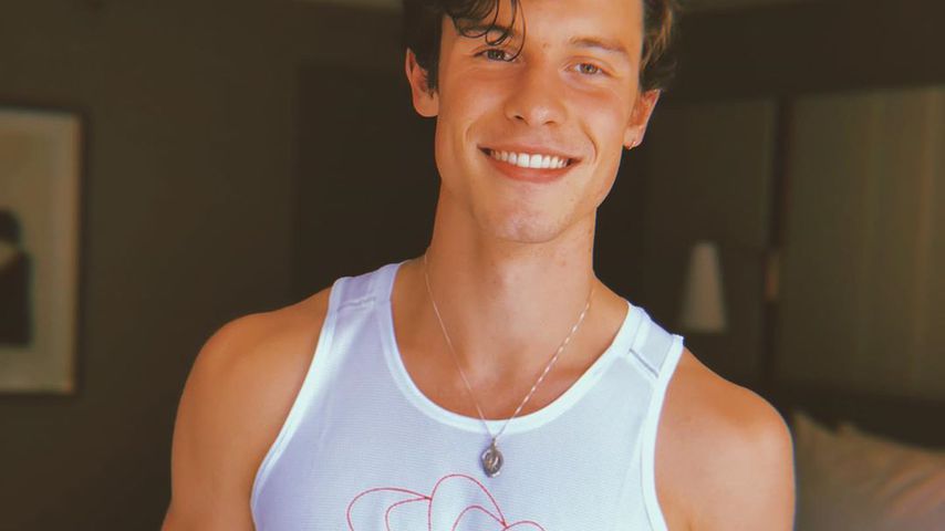 Shawn Mendes, Sänger