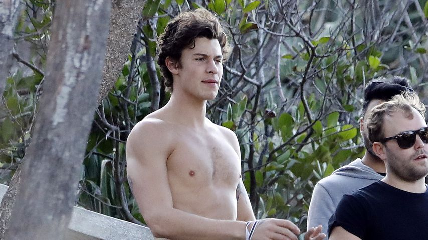 Shawn Mendes, November 2019
