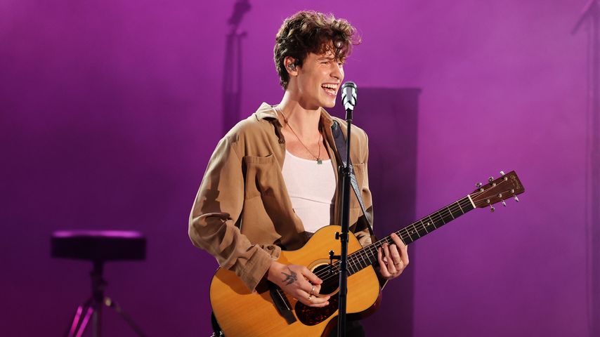 Shawn Mendes, Sänger