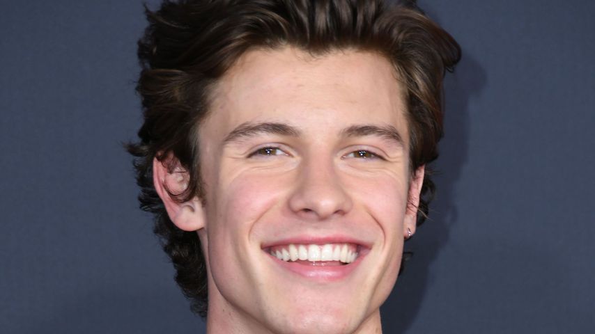 Shawn Mendes, Popsänger
