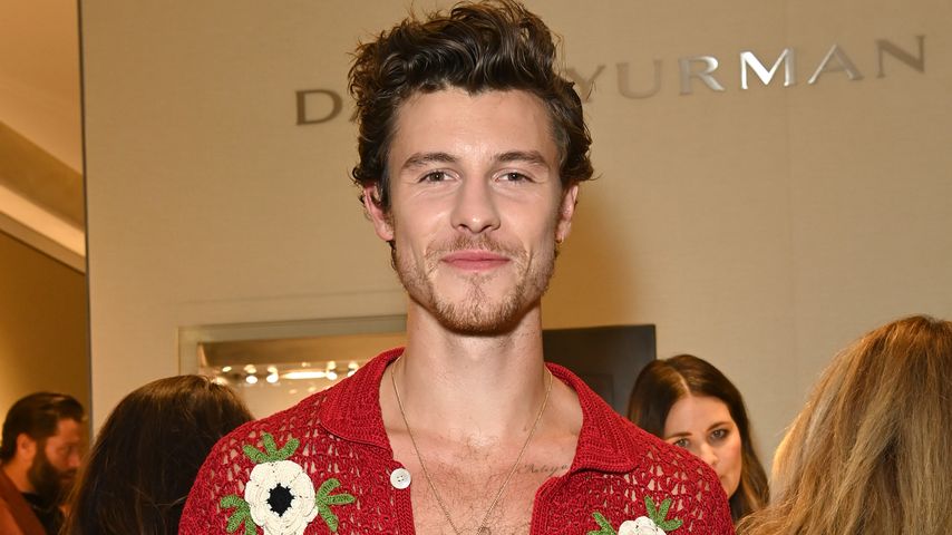 Shawn Mendes begeistert Fans in Buenos Aires im Tanktop