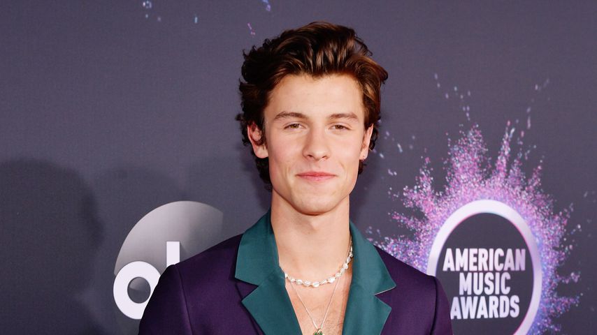 Shawn Mendes, Künstler