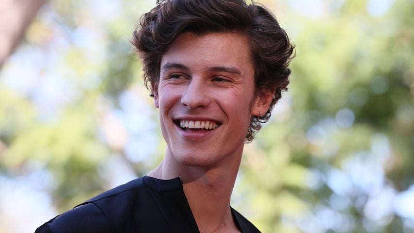 Shawn Mendes, Sänger