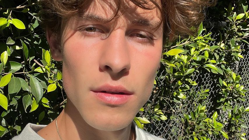 Shawn Mendes, Sänger
