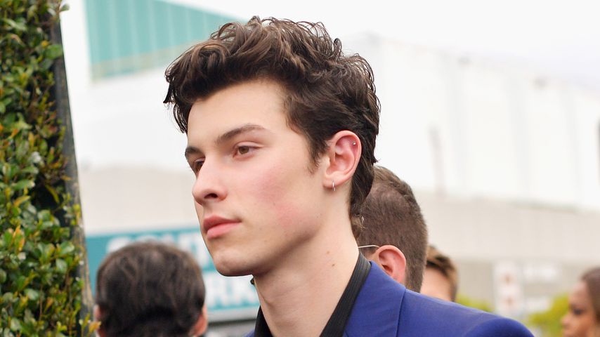 Shawn Mendes entschuldigt sich für beleidigende Tweets