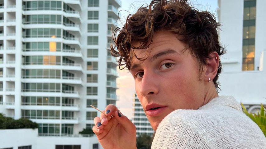 Shawn Mendes, Sänger