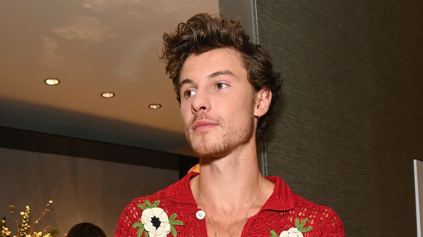 Shawn Mendes, Sänger