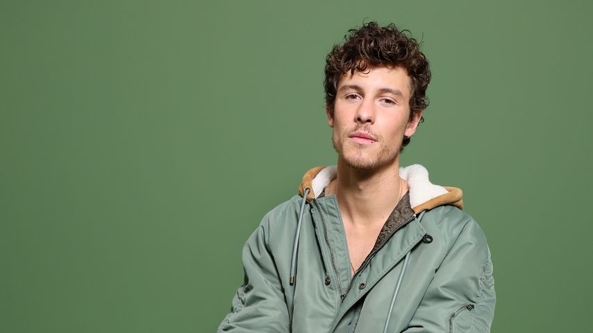 Shawn Mendes, Sänger