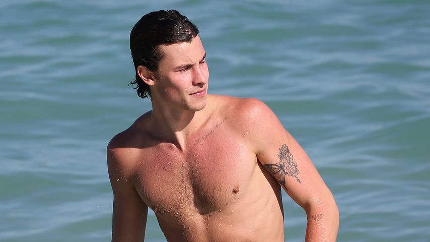 Shawn Mendes, Sänger