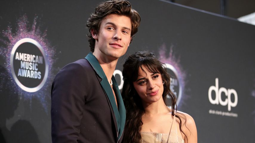 Shawn Mendes und Camila Cabello im November 2019
