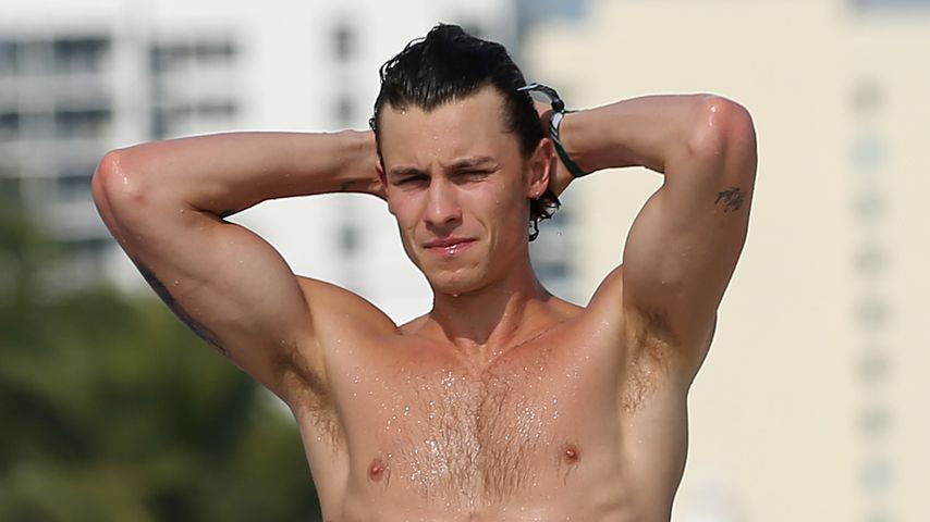 Shawn Mendes, Januar 2022