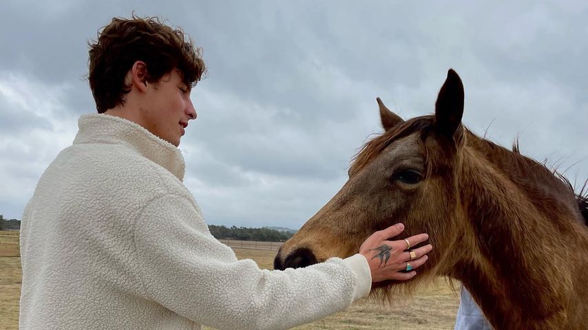 Shawn Mendes im März 2022