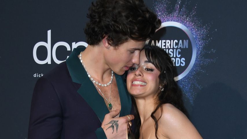 Shawn Mendes und Camila Cabello wollen bald zusammenziehen